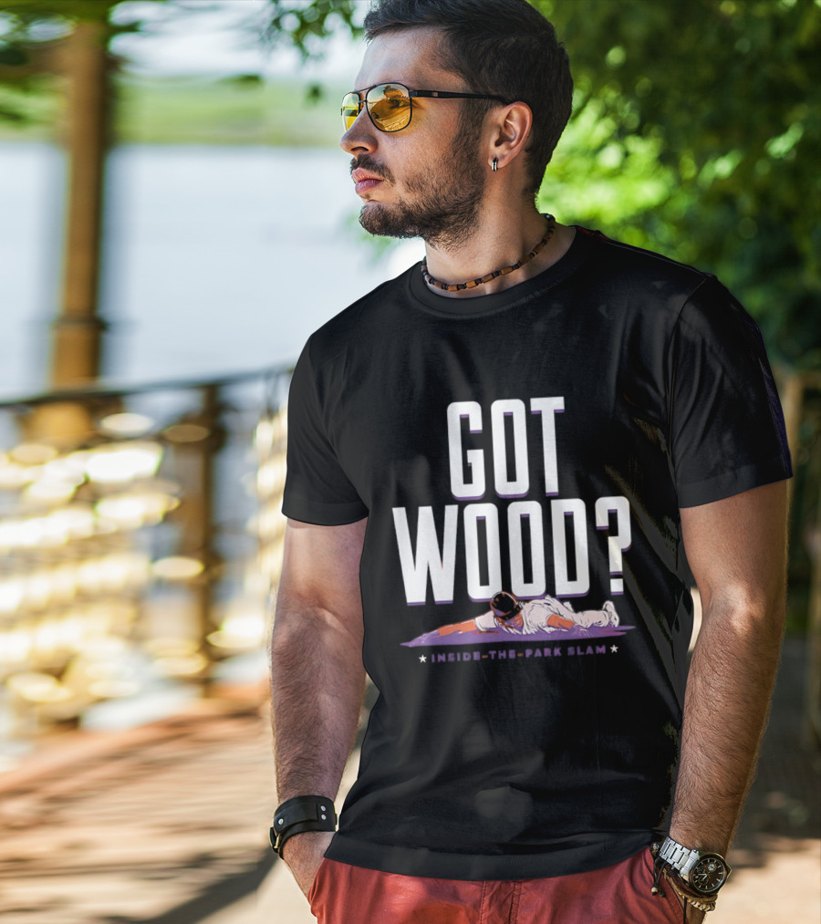 Washington Nationals Baseball Got Wood Inside The Park Slam T-Shirt