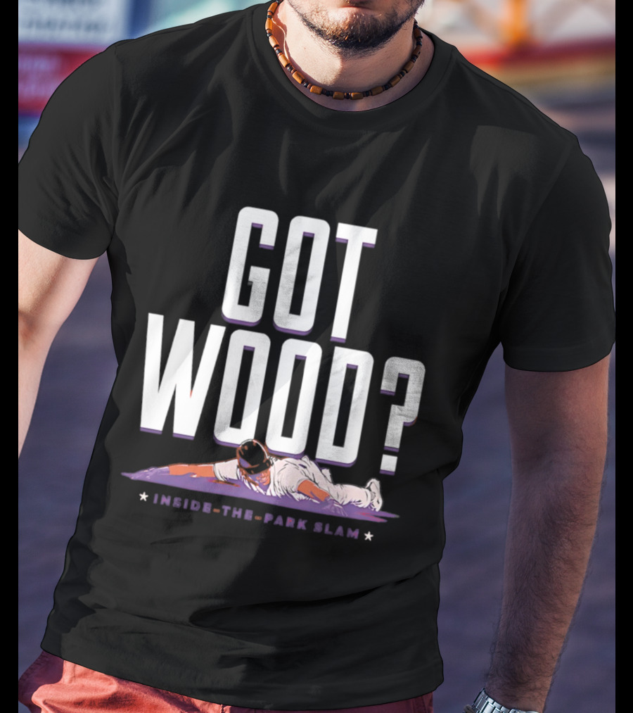 Washington Nationals Baseball Got Wood Inside The Park Slam T-Shirt