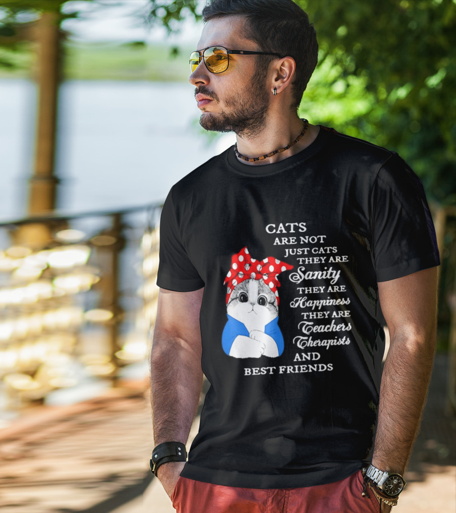 Cats Are Not Just Cats They Are Sanity Happiness Teachers Therapists Best Friends T-Shirt