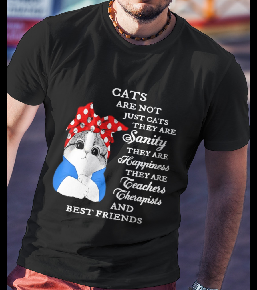 Cats Are Not Just Cats They Are Sanity Happiness Teachers Therapists Best Friends T-Shirt