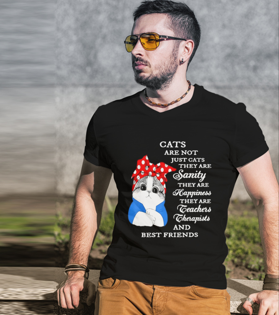 Cats Are Not Just Cats They Are Sanity Happiness Teachers Therapists Best Friends T-Shirt