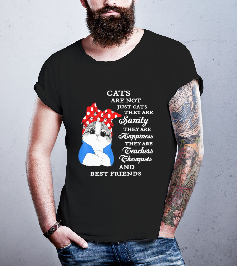 Cats Are Not Just Cats They Are Sanity Happiness Teachers Therapists Best Friends T-Shirt