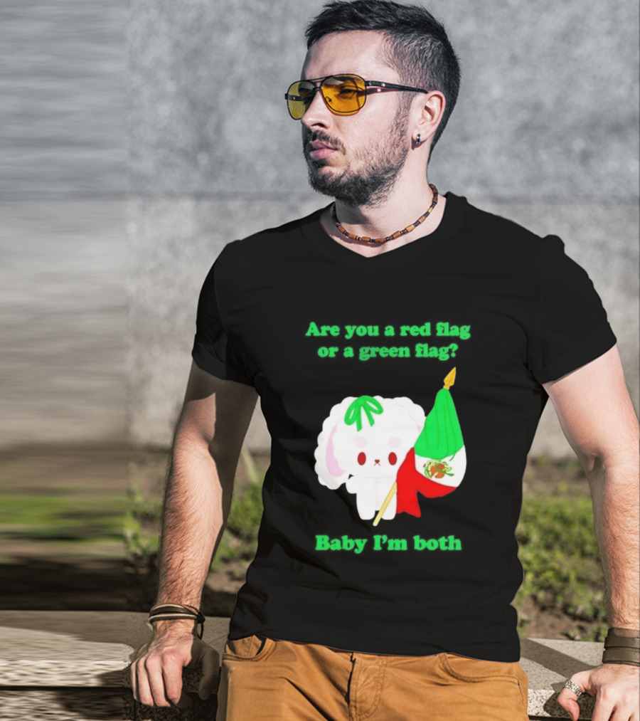 Nonomochi Mexico Flag Are You A Red Flag Or A Green Flag Cute Bunny Holding Mexican Flag T-Shirt