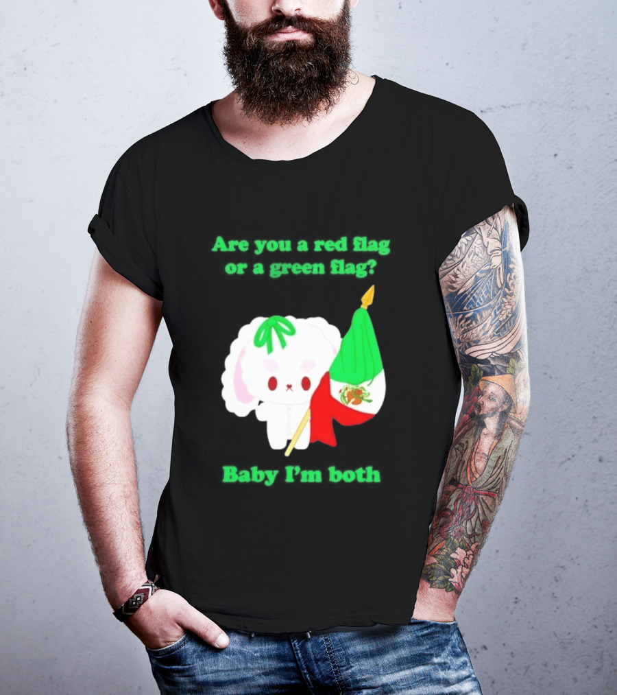 Nonomochi Mexico Flag Are You A Red Flag Or A Green Flag Cute Bunny Holding Mexican Flag T-Shirt