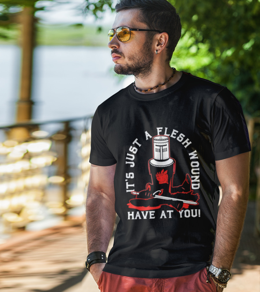 It's Just A Flesh Wound Have At You Monty Python Black Knight T-Shirt