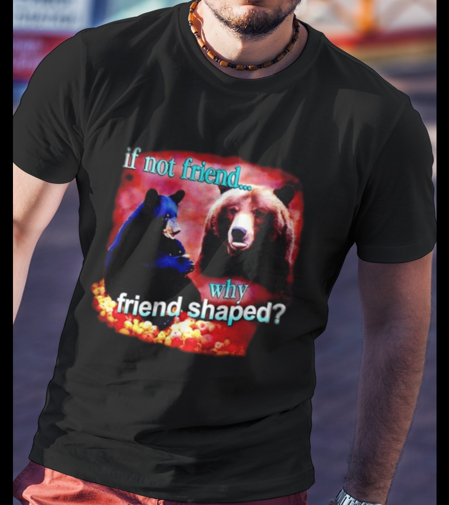 If Not Friend Why Friend Shaped Bear With Two Bears T-Shirt