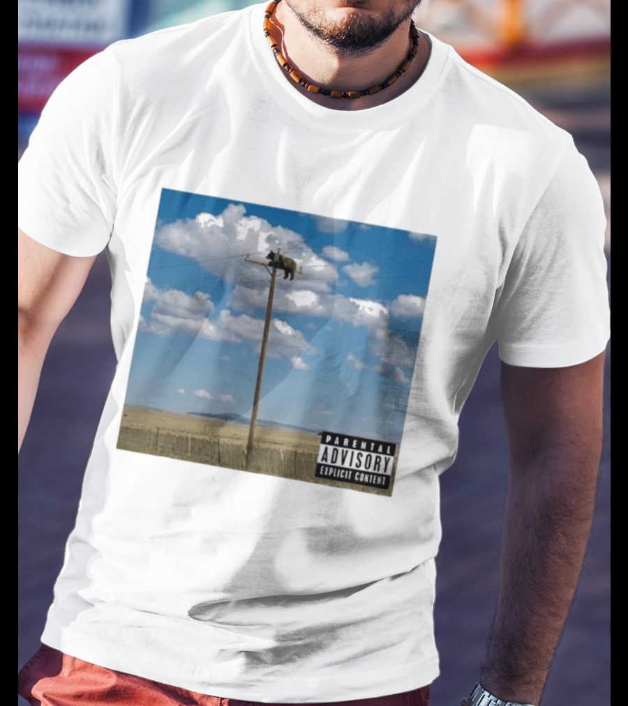 Bear On Top Of The Light Pole Parental Advisory Explicit Content Clouds Sky T-Shirt