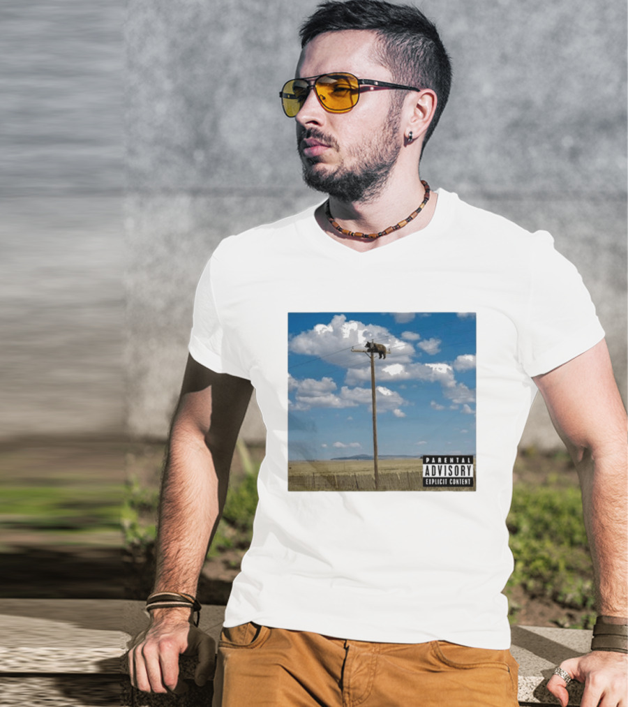 Bear On Top Of The Light Pole Parental Advisory Explicit Content Clouds Sky T-Shirt