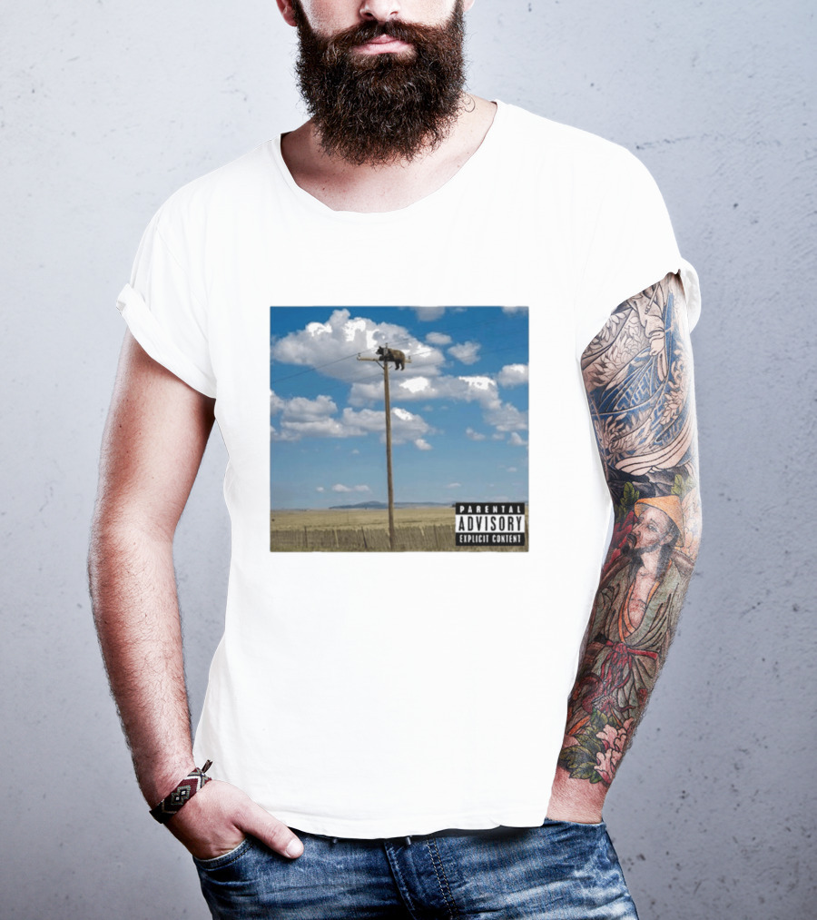Bear On Top Of The Light Pole Parental Advisory Explicit Content Clouds Sky T-Shirt
