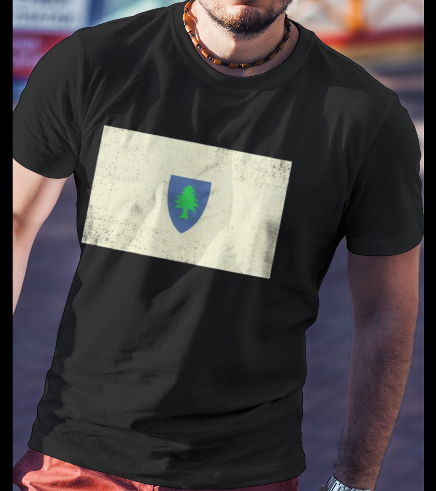 Massachusetts Flag Pine Tree Symbol On Vintage Shield T-Shirt