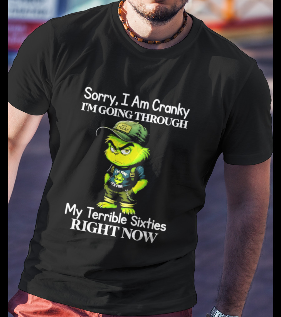 Sorry I Am Cranky I'm Going Through My Terrible Sixties Right Now T-Shirt
