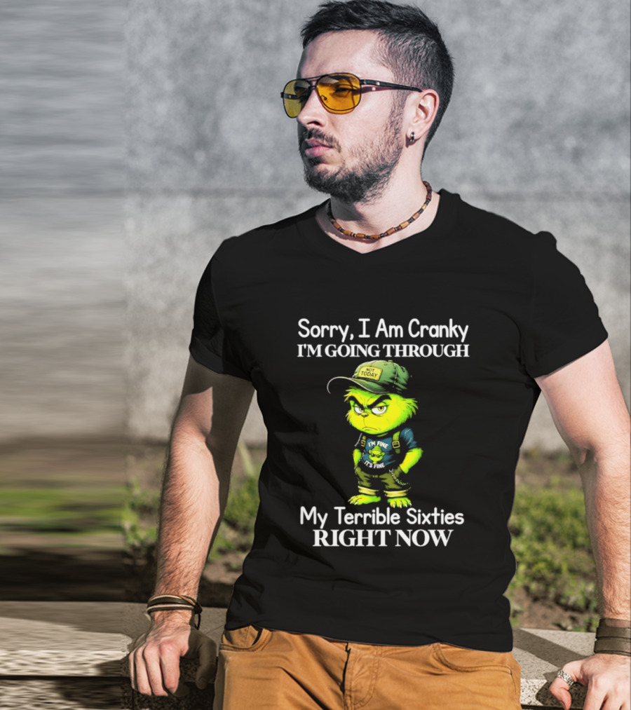 Sorry I Am Cranky I'm Going Through My Terrible Sixties Right Now T-Shirt