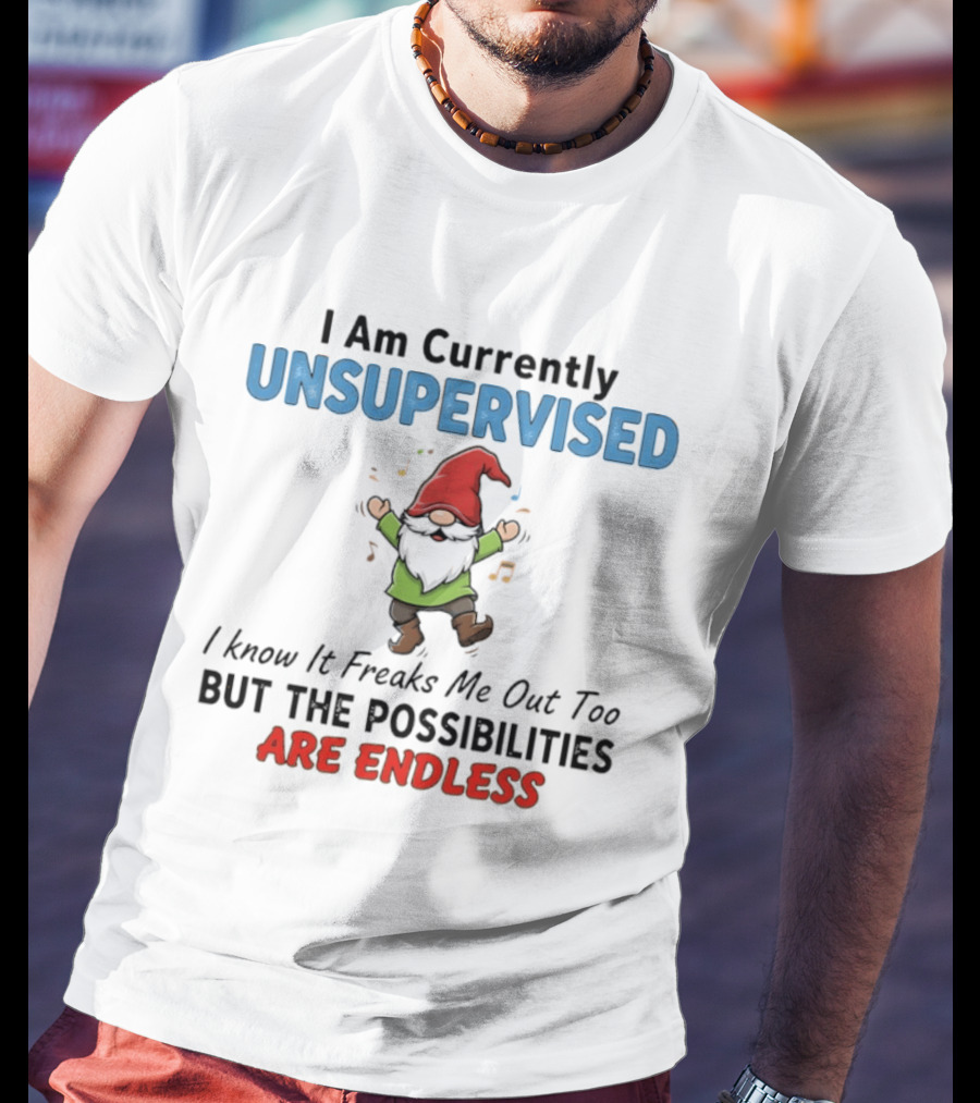 Unsupervised Gnome Christmas Possibilities Endless Fun T-Shirt