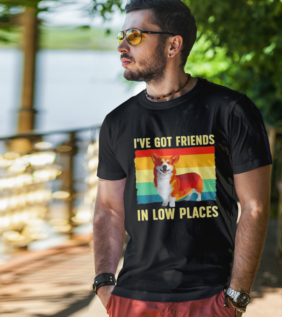 Corgi I've Got Friends In Low Places Vintage Rainbow T-Shirt