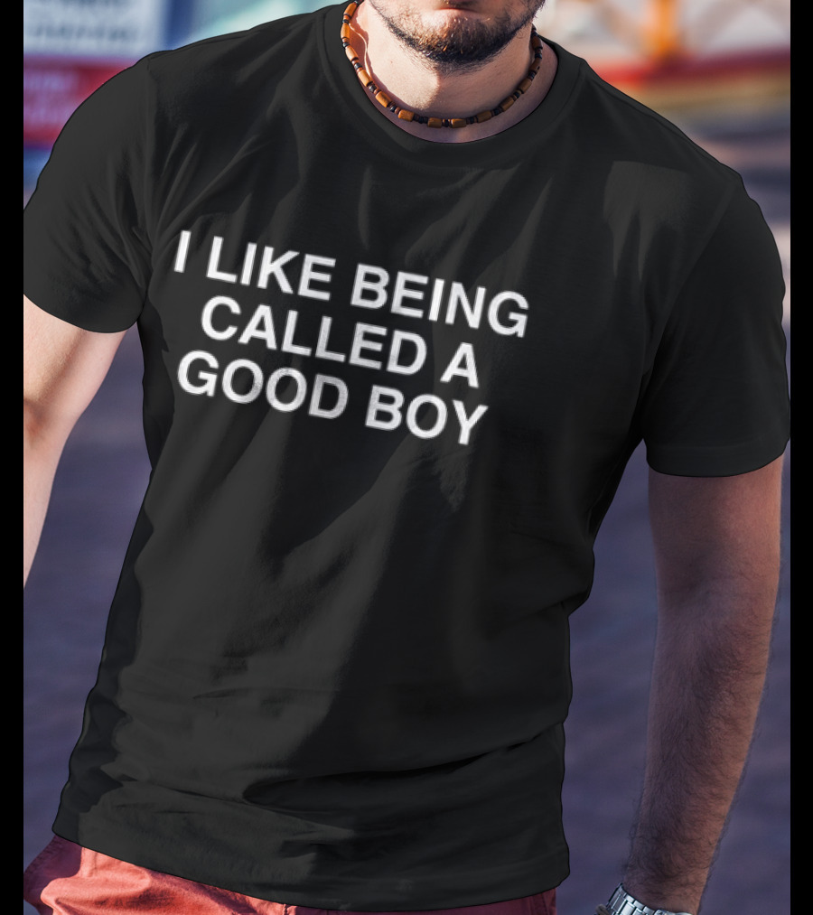 I Like Being Called A Good Boy Fun T-Shirt