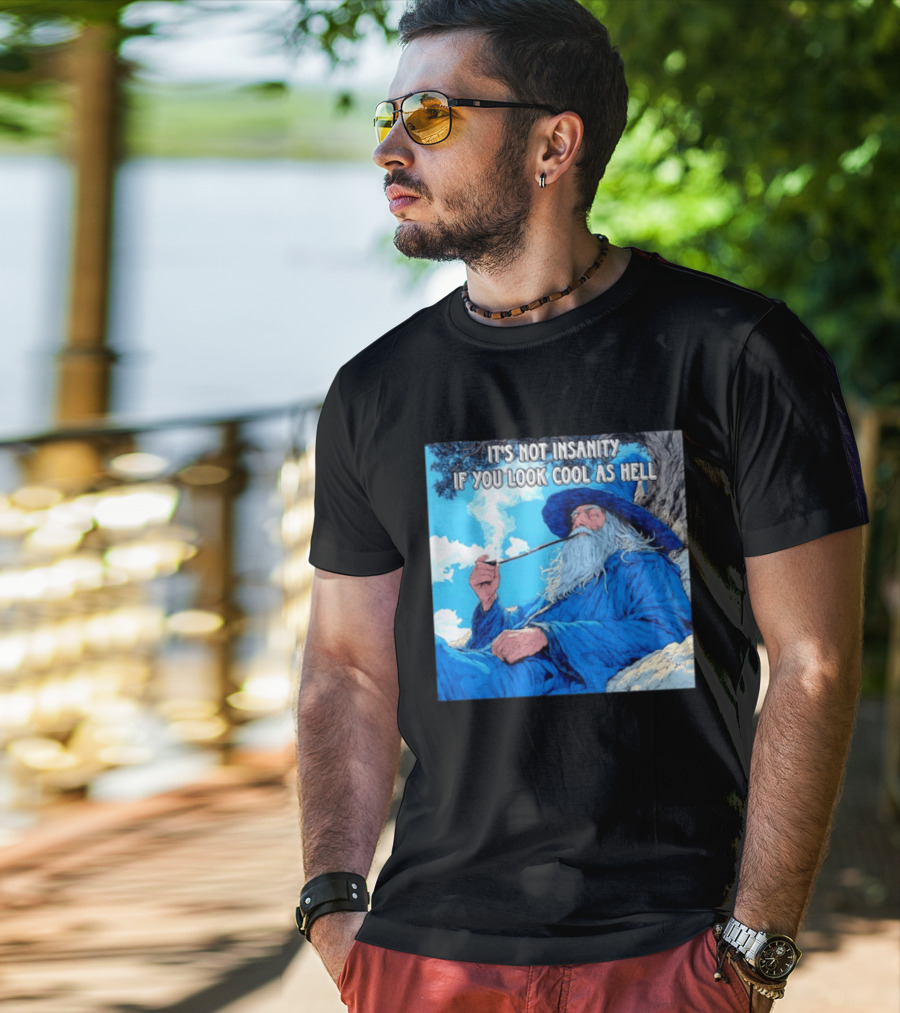 It's Not Insanity If You Look Cool As Hell Wizard Smoking Pipe T-Shirt