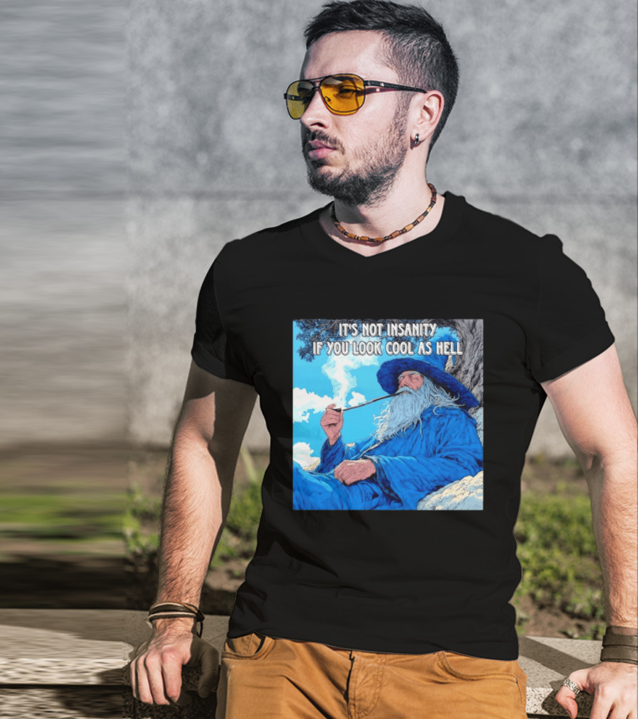 It's Not Insanity If You Look Cool As Hell Wizard Smoking Pipe T-Shirt