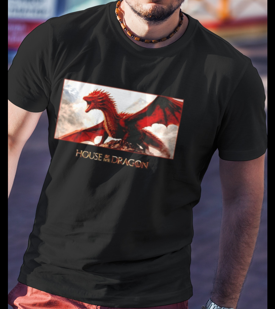House Of The Dragon Caraxes War Memorial Mountains Scene T-Shirt