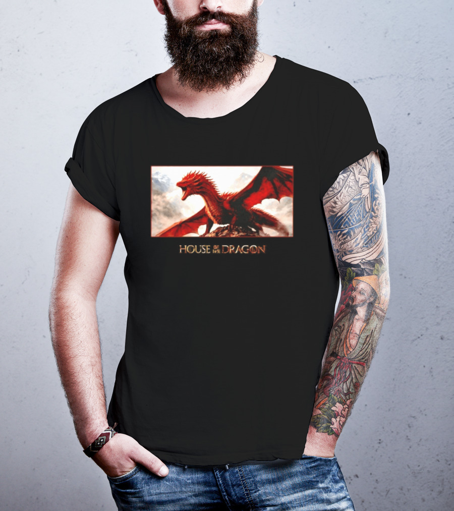 House Of The Dragon Caraxes War Memorial Mountains Scene T-Shirt