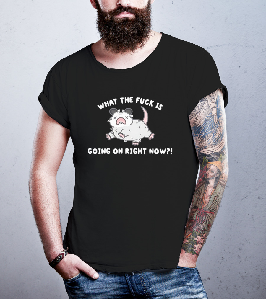 What The Fuck Is Going On Right Now Opossum T-Shirt