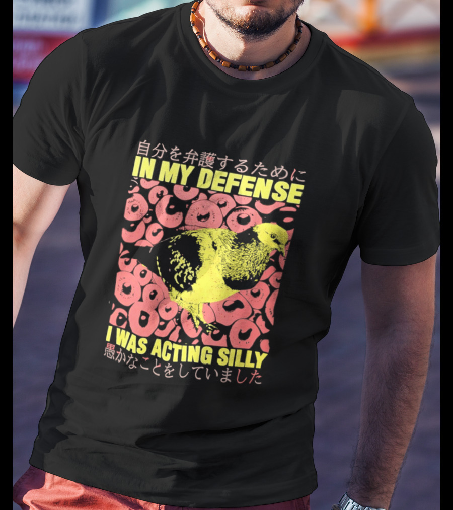 In My Defense I Was Acting Silly T-Shirt