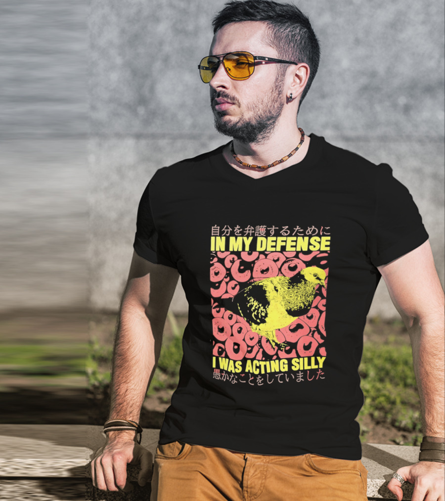 In My Defense I Was Acting Silly T-Shirt