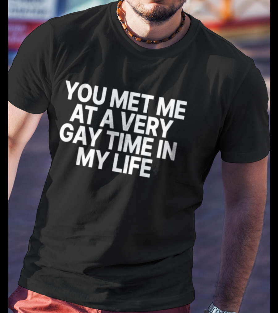 You Met Me At A Very Gay Time In My Life T-Shirt
