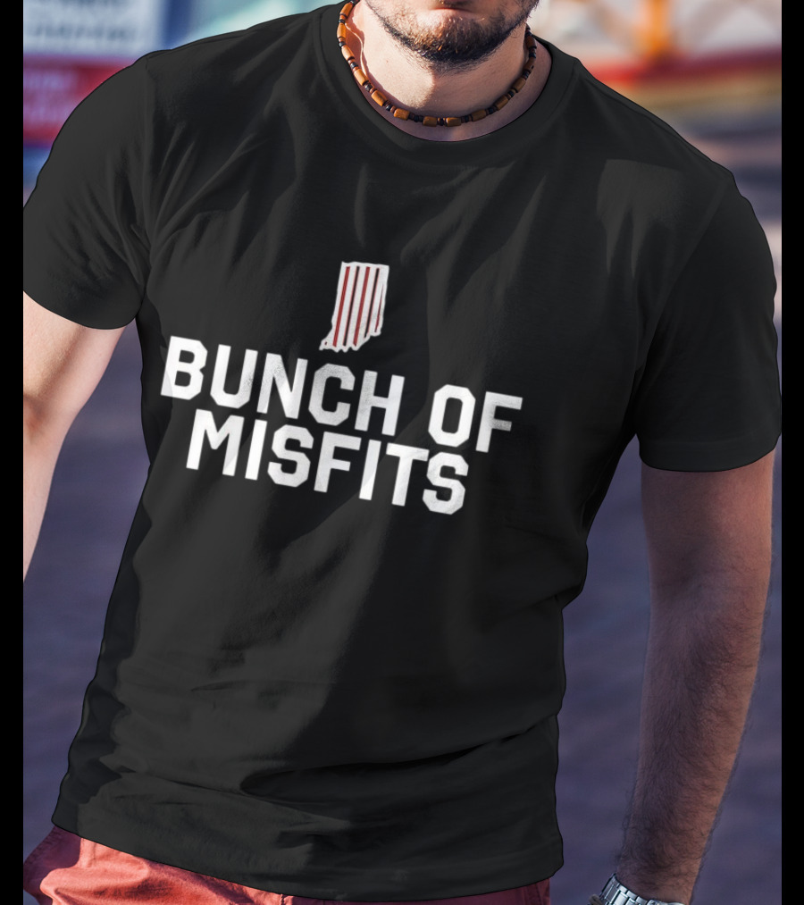 Indiana Hoosiers Bunch Of Misfits Iconic Striped State T-Shirt