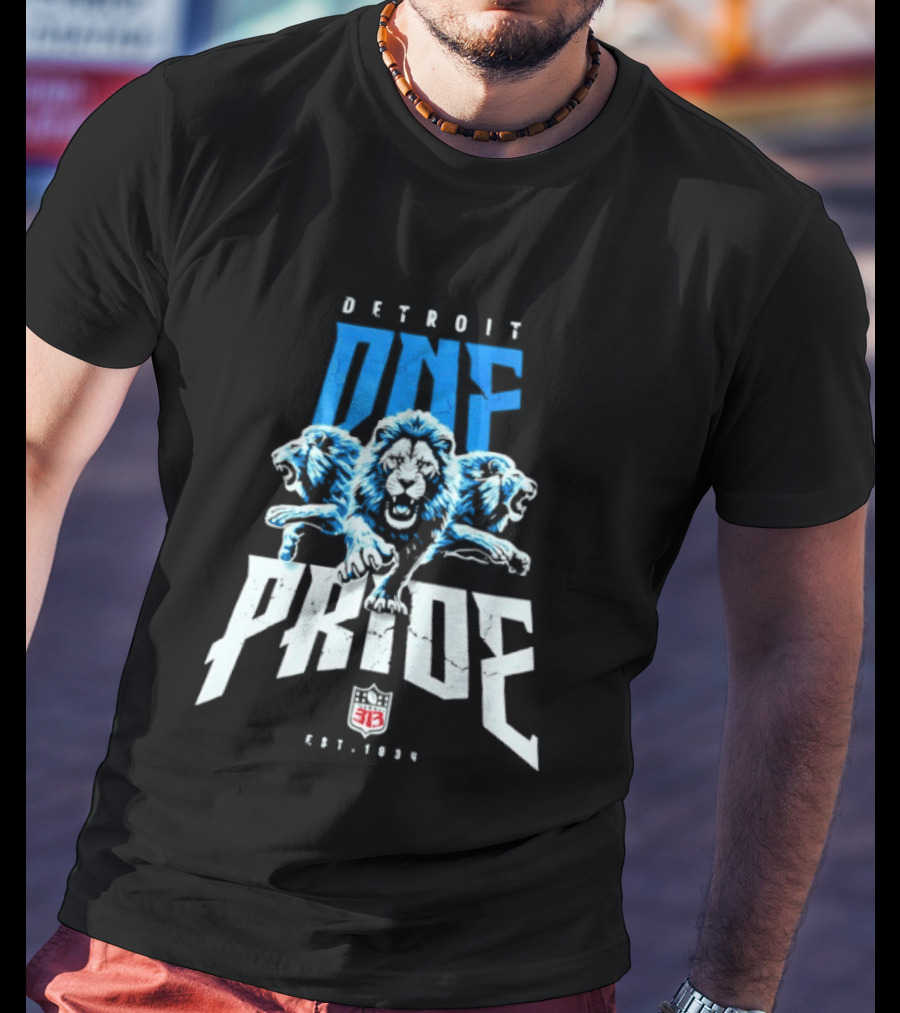 Detroit One Pride 313 Lions Est 1930 T-Shirt