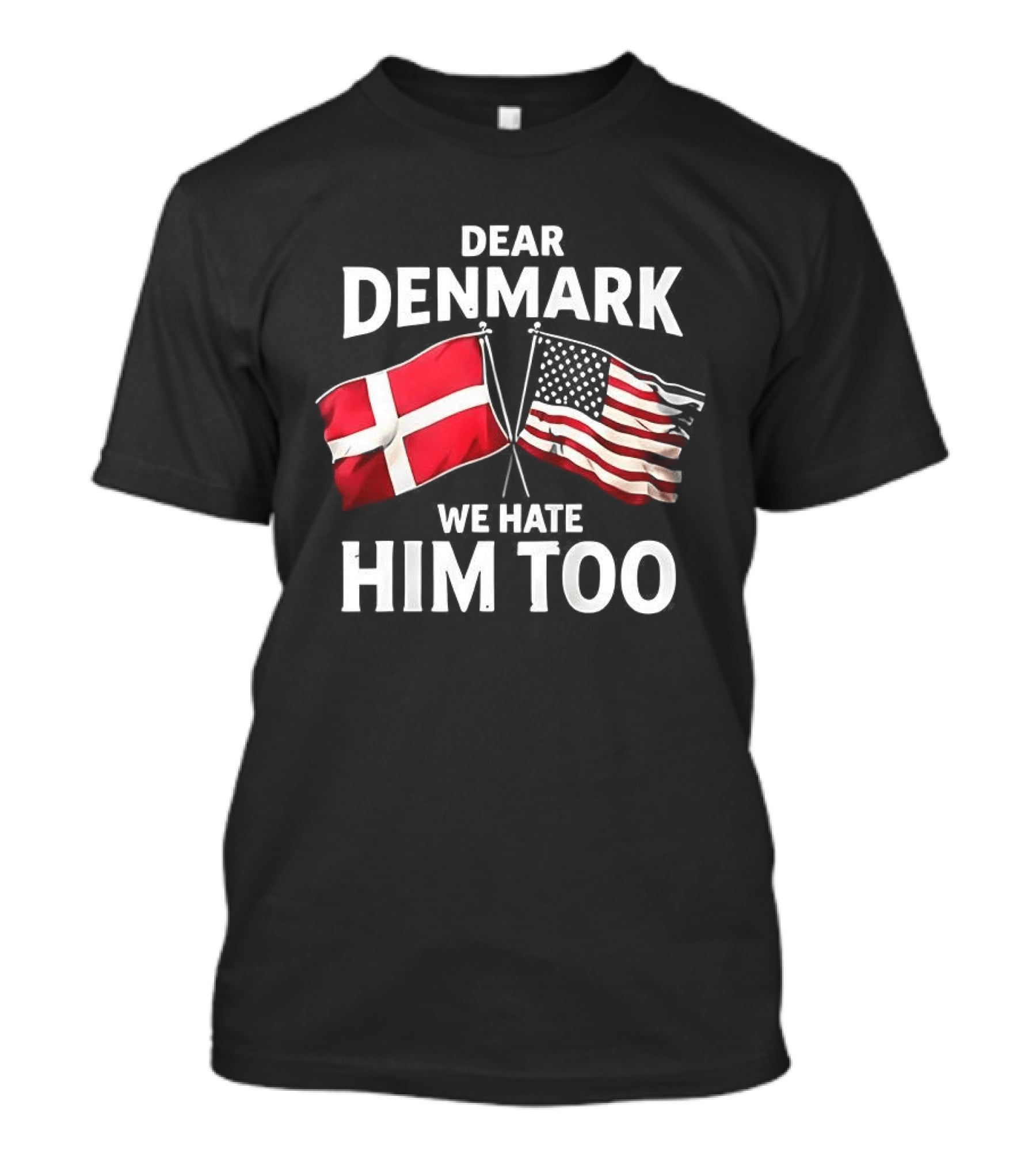Dear Denmark We Hate Him Too Flags T-Shirt