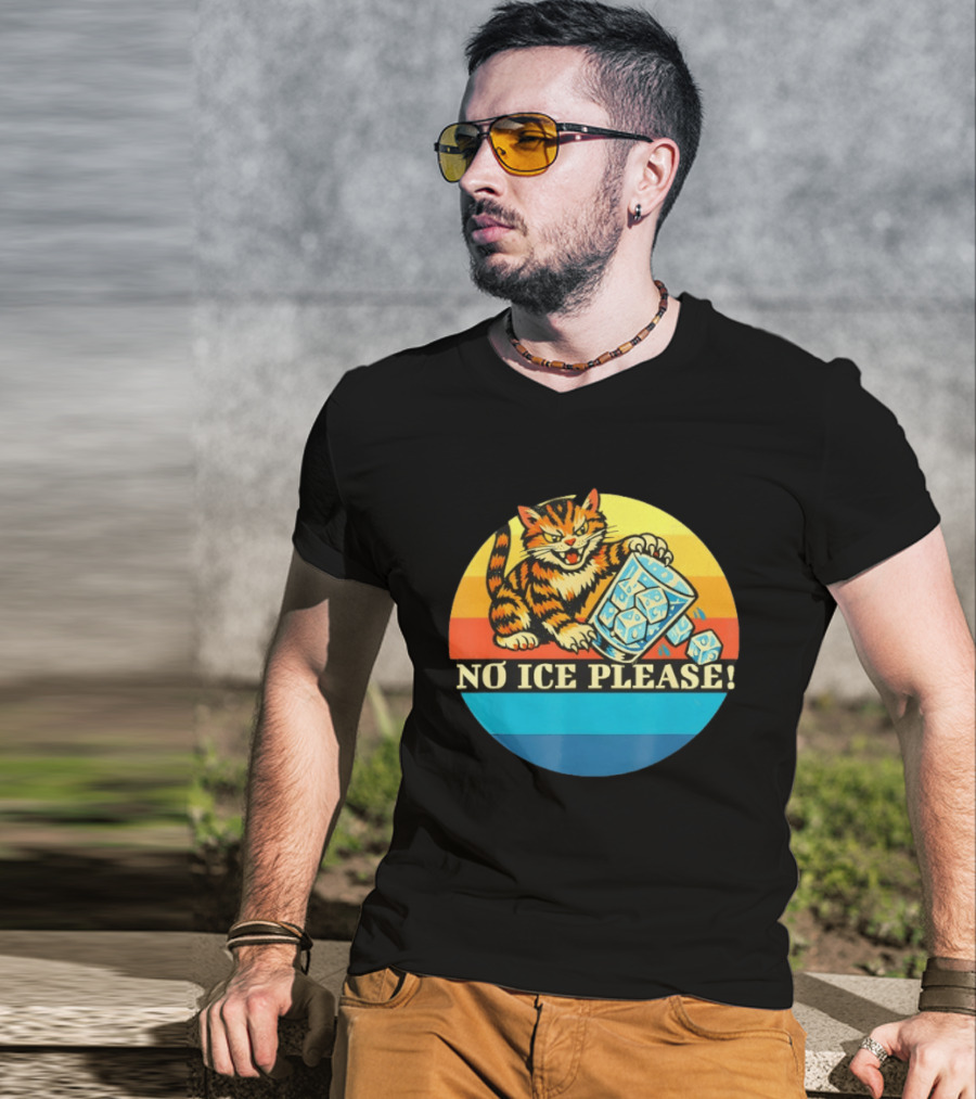 No Ice Please Cat Cartoon Rainbow Stripes T-Shirt