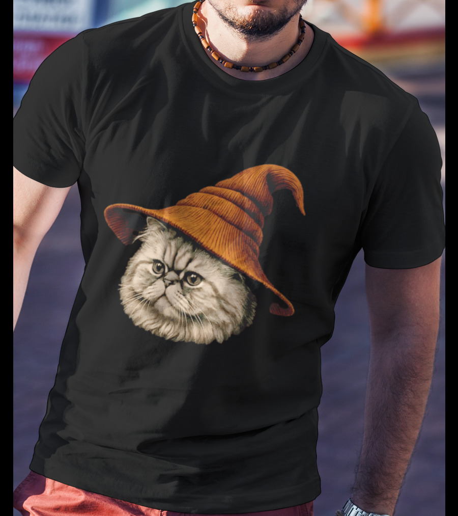 Beanie Cat Wizard Cartoon Plush Orange Hat Feline T-Shirt