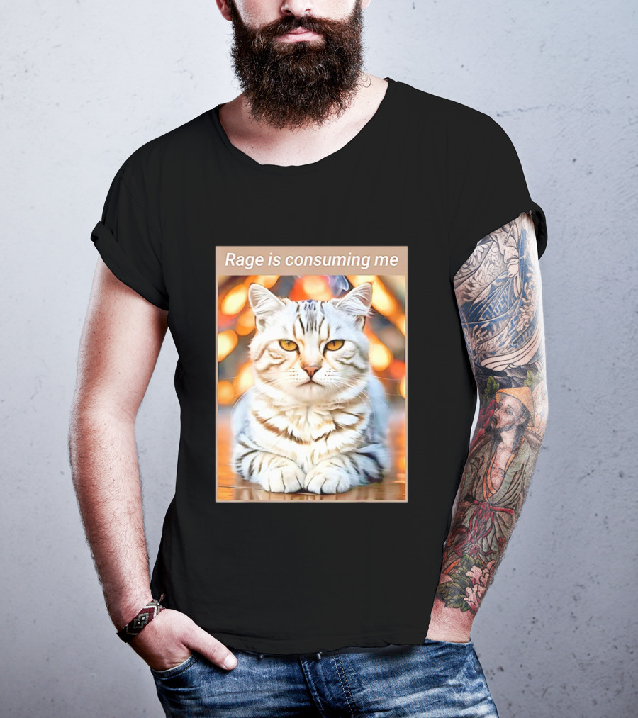 Cat Rage Is Consuming Me Meme Tiger Stripes T-Shirt