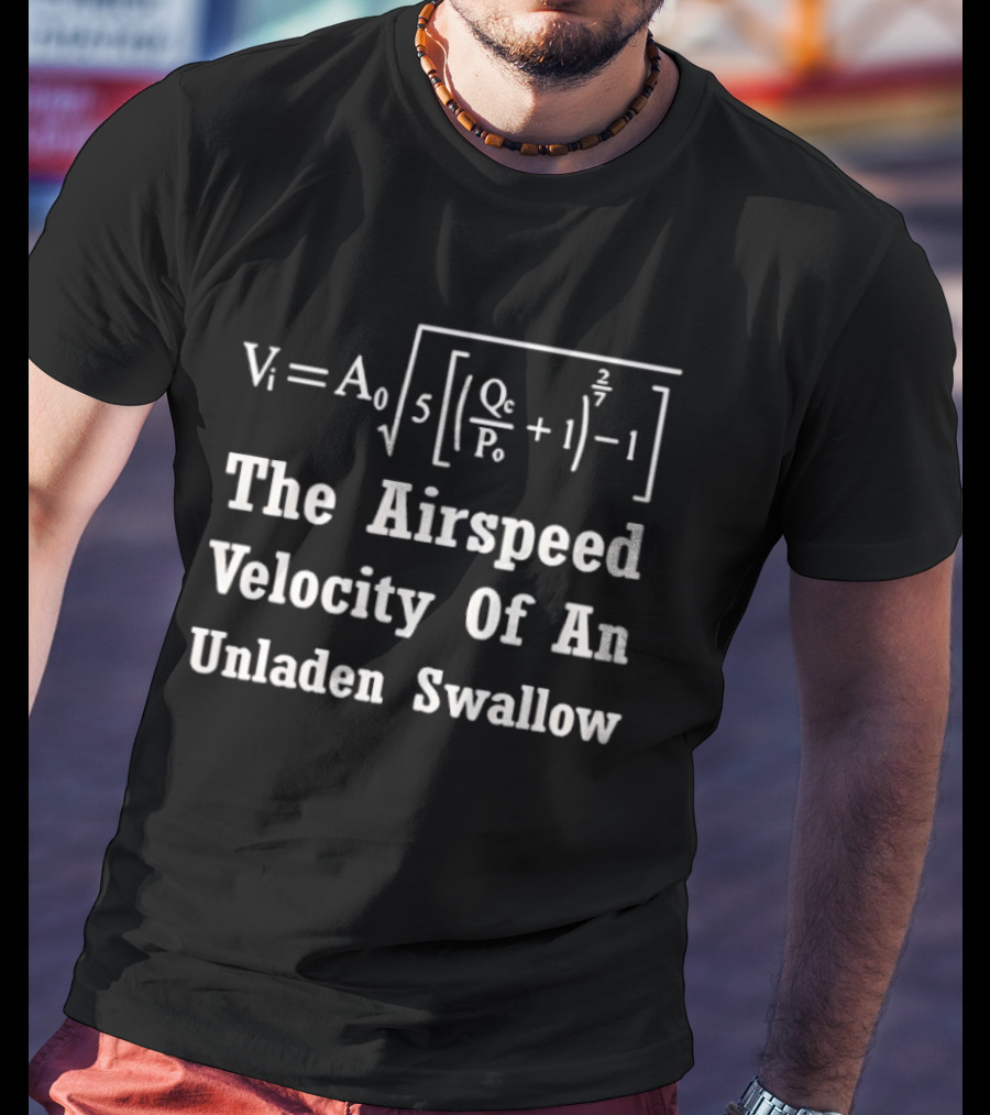 The Airspeed Velocity Of An Unladen Swallow Formula Equation Vi A0 T-Shirt