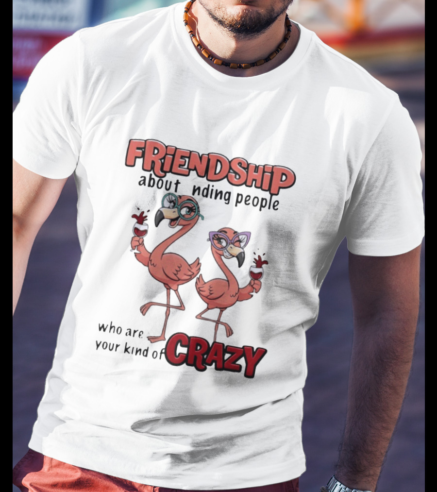 FRIENDSHIP About Finding People Who Are Your Kind Of CRAZY Flamingo Humor T-Shirt