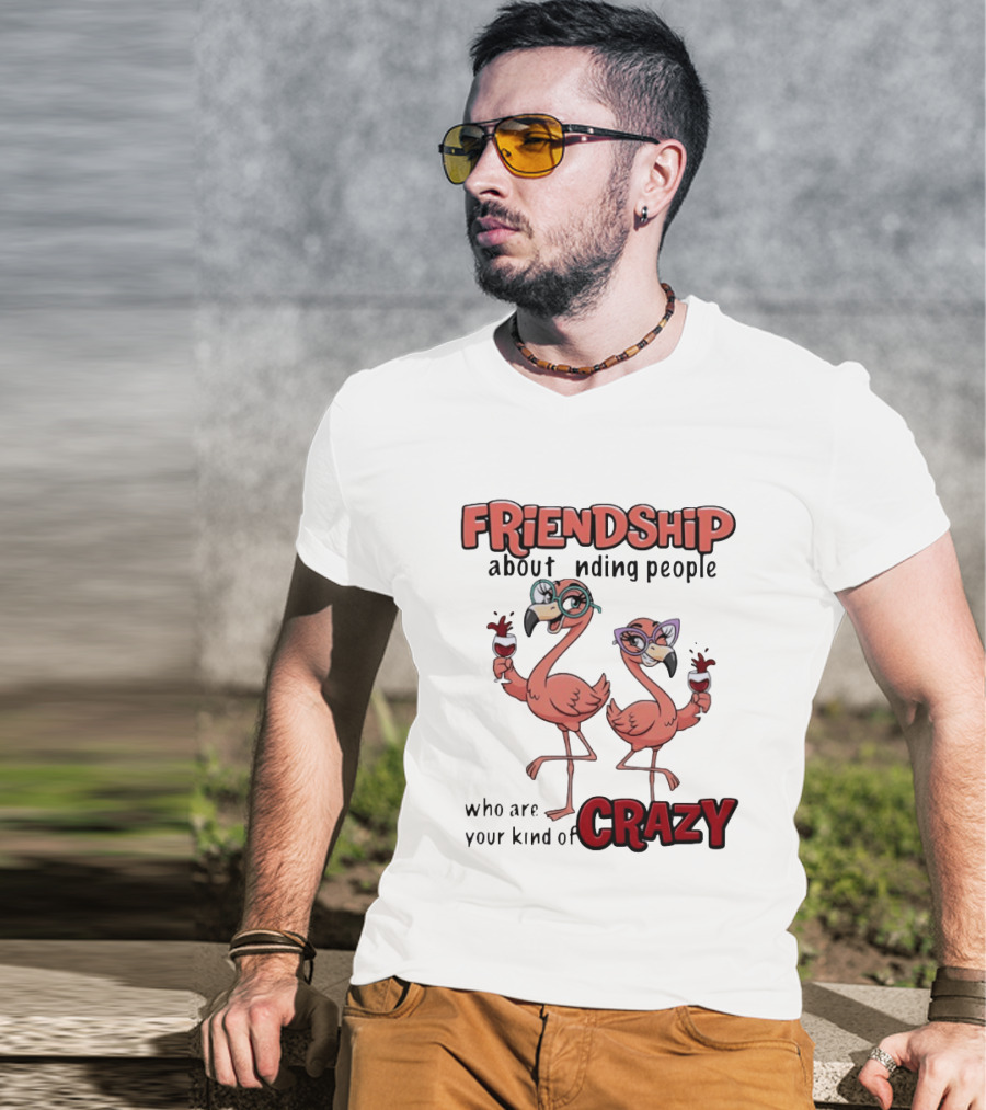 FRIENDSHIP About Finding People Who Are Your Kind Of CRAZY Flamingo Humor T-Shirt