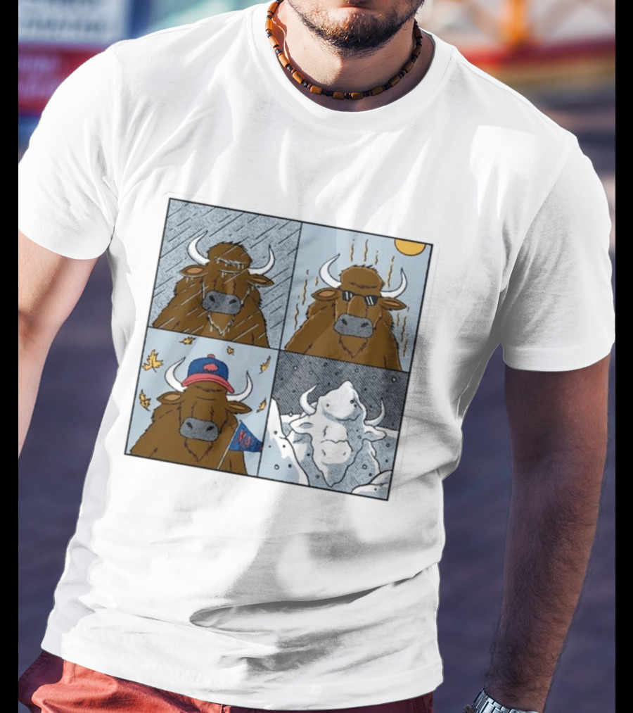 Buffalo Bills Seasons Buffalo Cartoon NFL Sports Fan T-Shirt