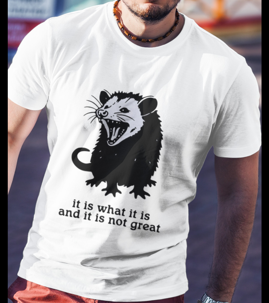 It Is What It Is And It Is Not Great Opossum T-Shirt