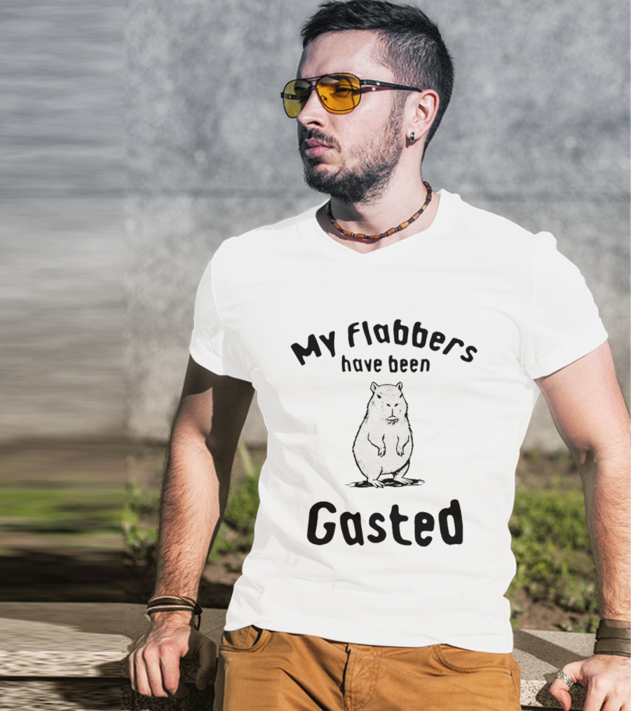 My Flabbers Have Been Gasted Capybara Meme T-Shirt