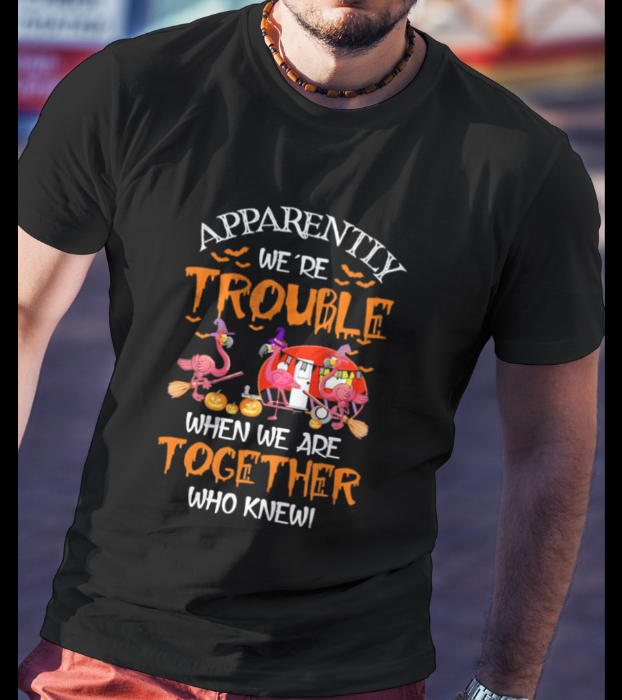 Apparently We're Trouble Flamingos Halloween Together Who Knew T-Shirt
