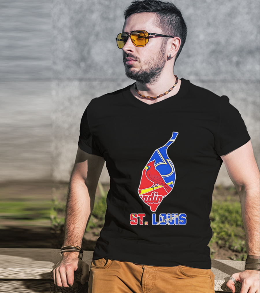 St. Louis Cardinals And Blues Team Spirit T-Shirt