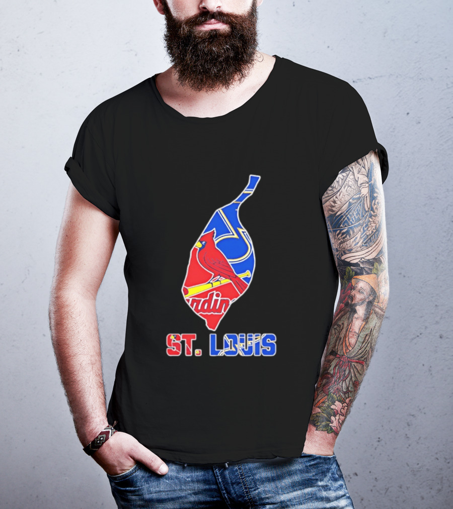St. Louis Cardinals And Blues Team Spirit T-Shirt