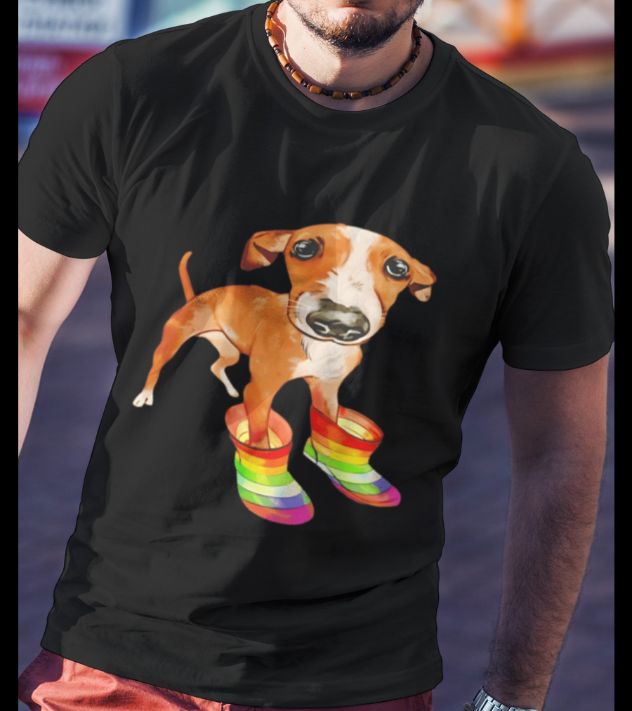 Doggie Rainbow Rainboots Puppy In Colorful Boots T-Shirt