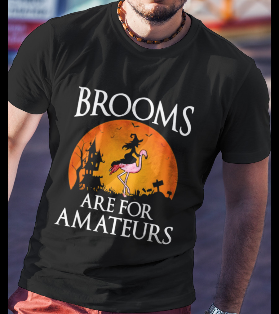 Brooms Are For Amateurs Flamingo Witch Halloween T-Shirt