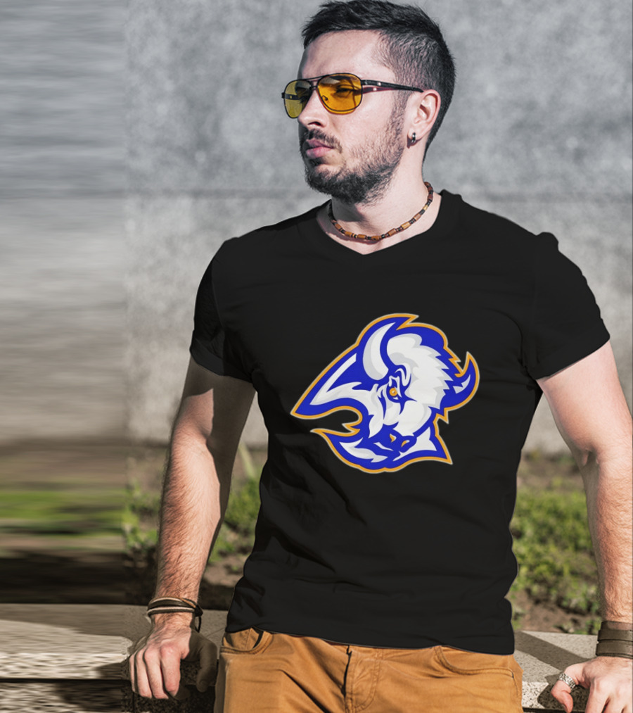 Buffalo Sabres Let's Go 2026 NHL Hockey T-Shirt