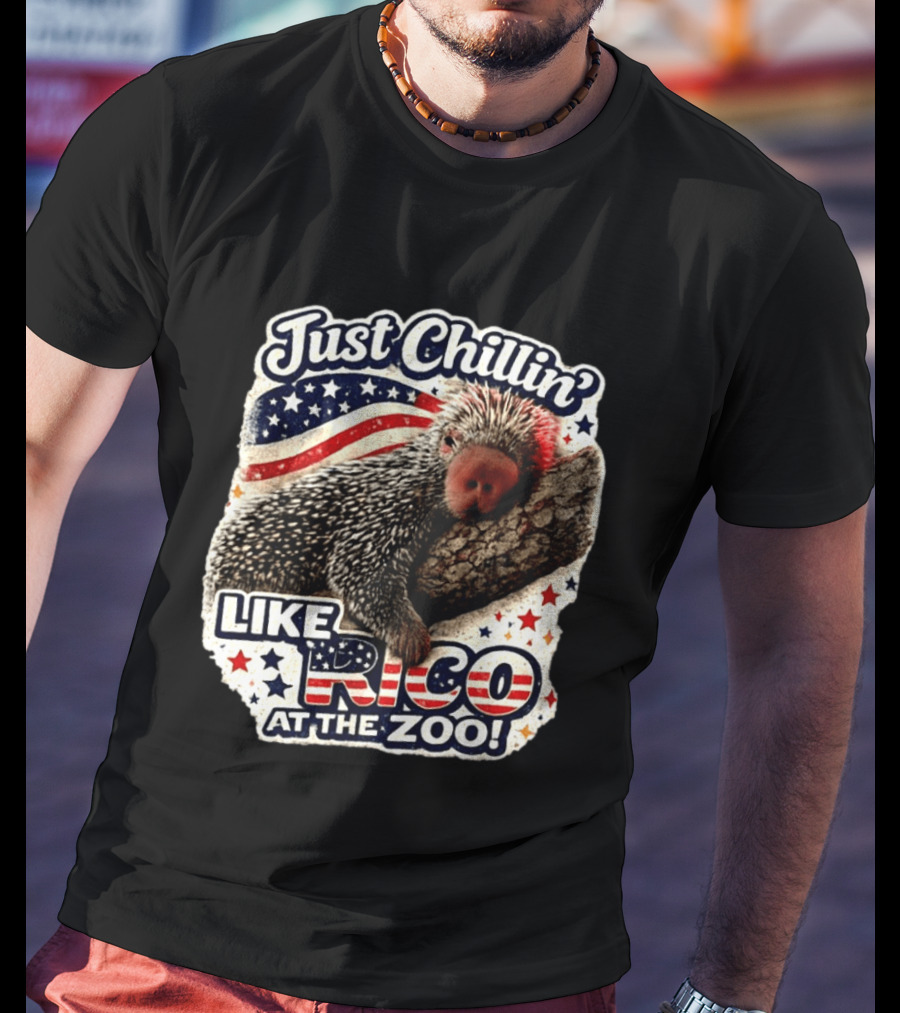 Just Chillin' Like Rico At The Zoo Patriotic Porcupine Vibes T-Shirt