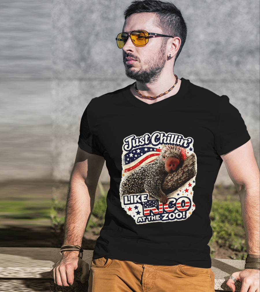 Just Chillin' Like Rico At The Zoo Patriotic Porcupine Vibes T-Shirt