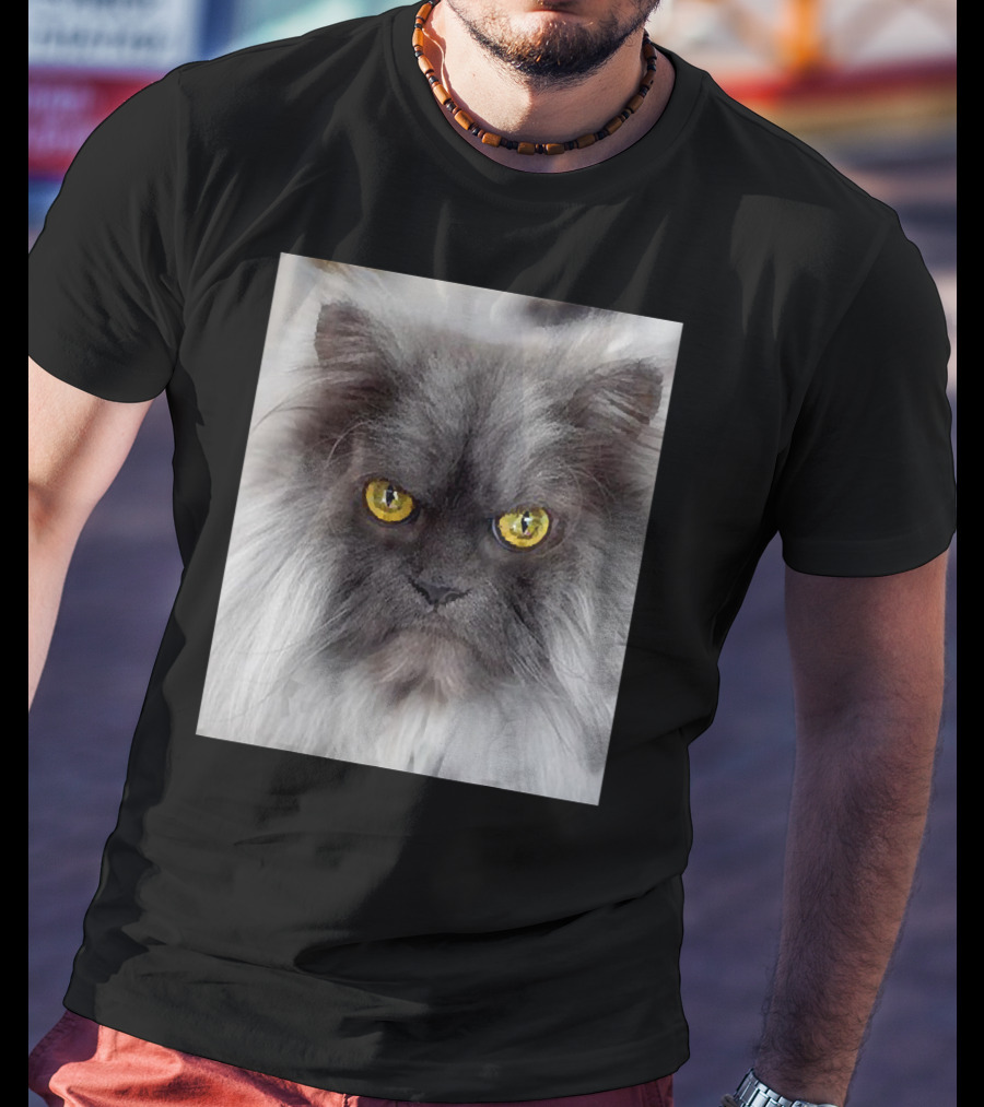 Jun The Angry Cat Golden Eyes Grumpy Expression T-Shirt