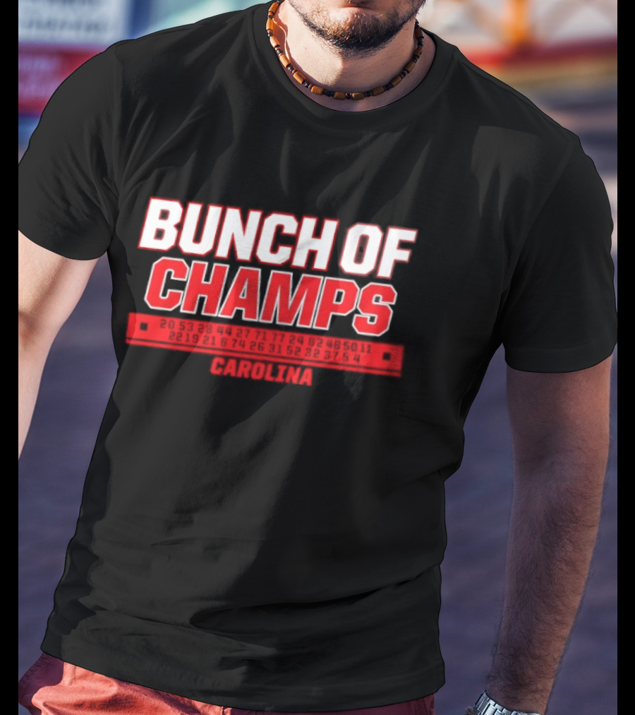 Carolina Hurricanes Bunch Of Champs 2026 T-Shirt