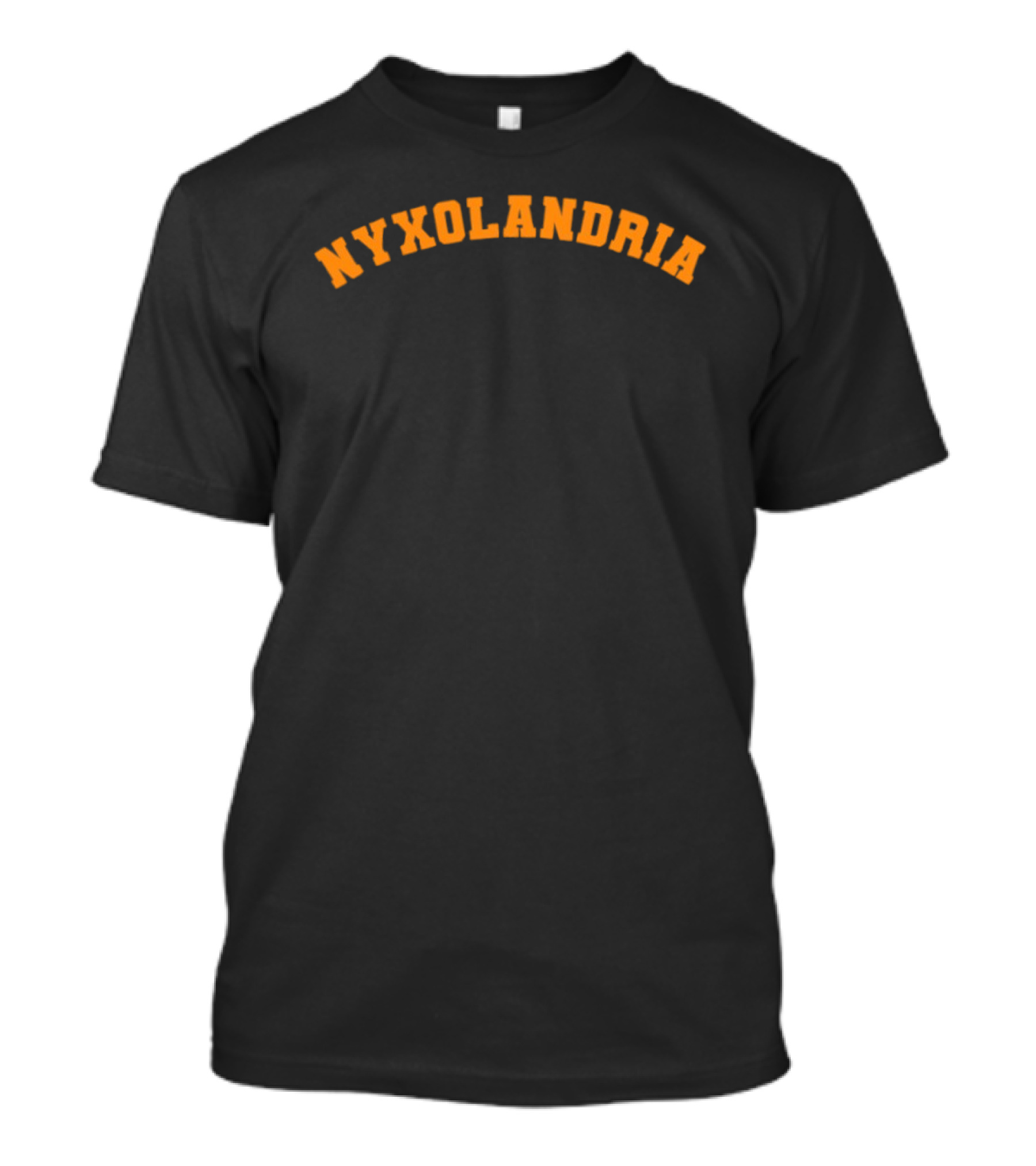NYXOLANDRIA 2026 NY Taylor Stevie Knicks T-Shirt